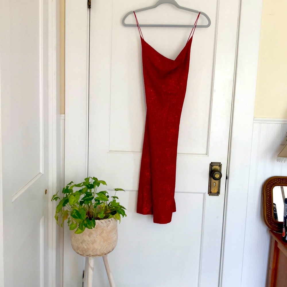 Red sparky thrifted dress